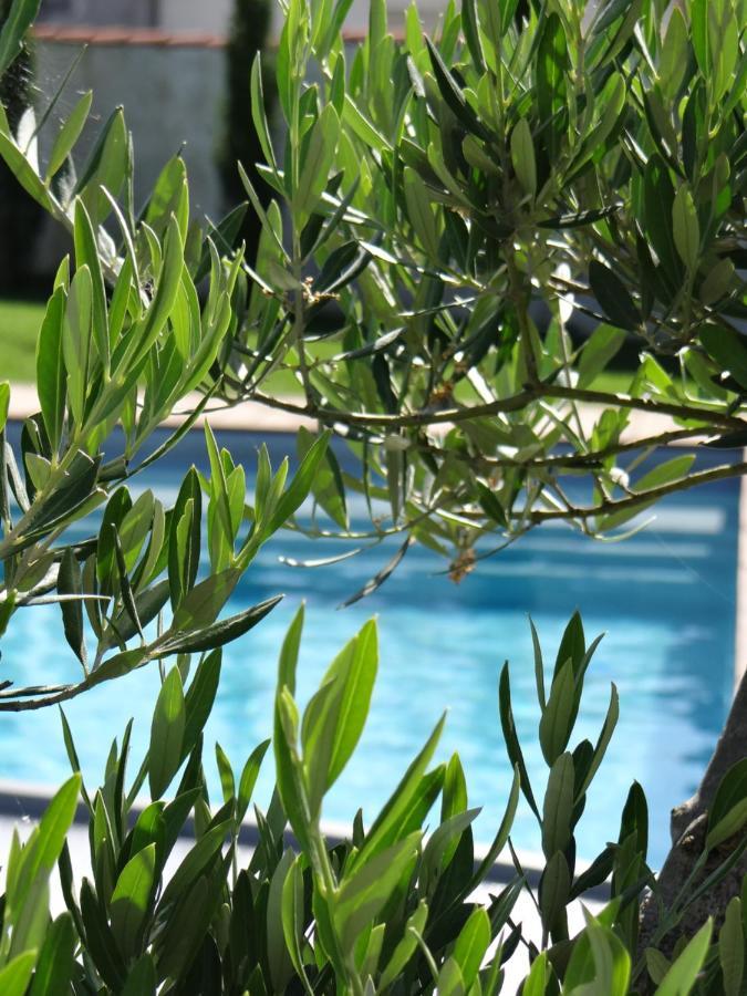 Les Marguerites Bed and Breakfast Champdolent Exteriör bild